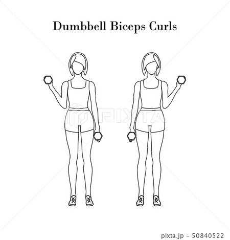 Dumbbell biceps curls exercise outline 50840522
