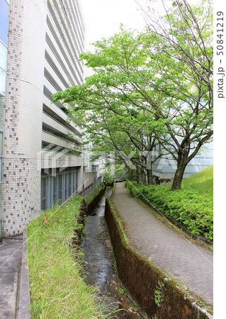 京都精華大学 50841219