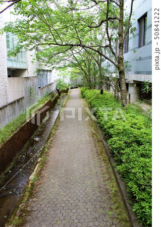 京都精華大学 50841222