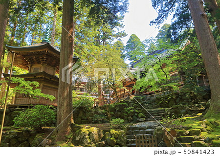 【福井県】新緑の永平寺　祠堂殿と報恩塔 50841423