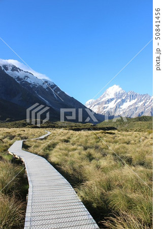アオラキ マウントクック国立公園　フッカーバレートラック 50841456