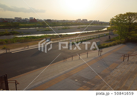 二子玉川駅近くの二子玉川公園から多摩川河川敷の風景 二子玉川駅近くの二子玉川公園から多摩川河川敷の風景 50841659
