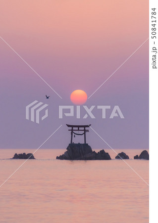 奈多海岸の夜明け 50841784