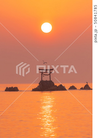 奈多海岸の夜明け 50841785