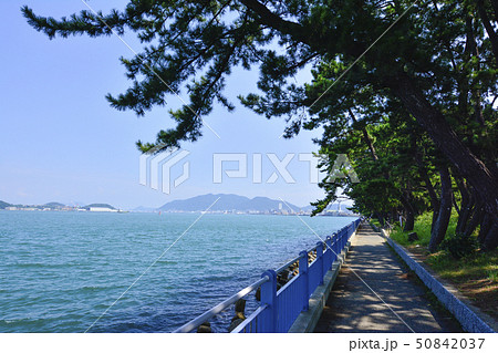 福岡 福岡 50842037