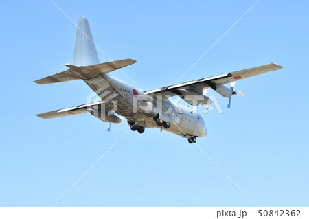 海上自衛隊のC-130R輸送機 海上自衛隊のC-130R輸送機 50842362