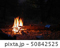 Night campfire. Fire flames at summer bight 50842525