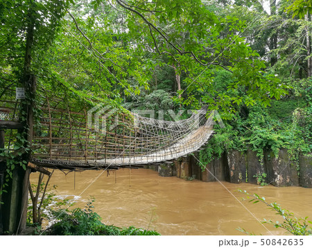 Bridge over Tat Pha Ngam Waterfall, Pakse, Laos 50842635