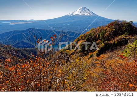 御坂山地・鬼ヶ岳から見る富士山と紅葉 50843911