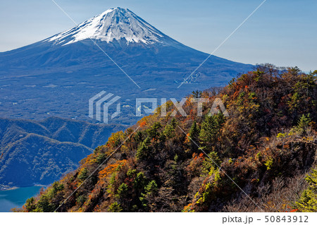 御坂山地・鬼ヶ岳から見る富士山と紅葉 50843912
