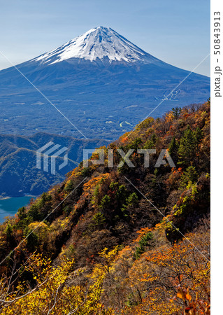 御坂山地・鬼ヶ岳から見る富士山と紅葉 50843913