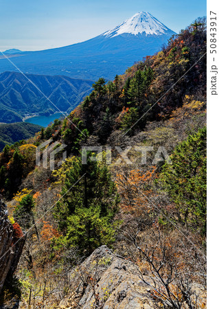 御坂山地・鬼ヶ岳から見る富士山と紅葉 御坂山地・鬼ヶ岳から見る富士山と紅葉 50843917