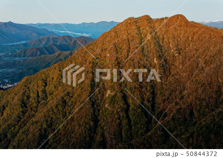 御坂山地・十二ヶ岳から見る朝焼けの鬼ヶ岳 50844372