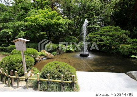兼六園 50844799