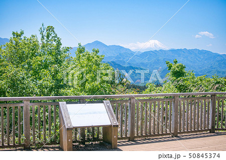高尾山から小仏城山への登山道 一丁平展望デッキから眺望する富士山 5月初旬 高尾山から小仏城山への登山道 一丁平展望デッキから眺望する富士山 5月初旬 50845374