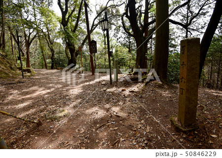 上醍醐　参道 50846229