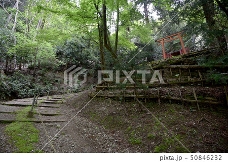 上醍醐　参道の祠 50846232