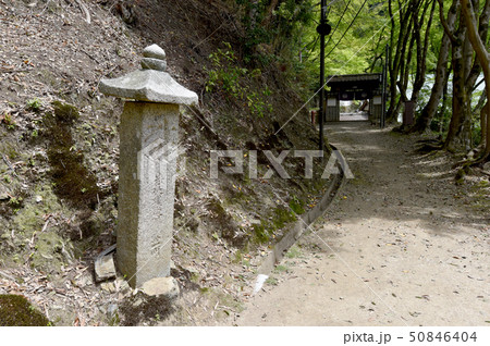 上醍醐 参道の道標 上醍醐 参道の道標 50846404
