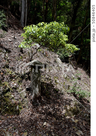 上醍醐　参道の道標 50846405