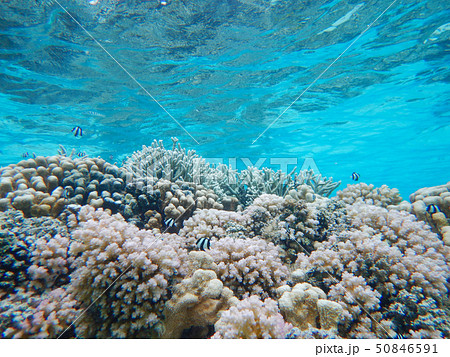 サイパンの透明な海と美しいサンゴ礁の写真素材