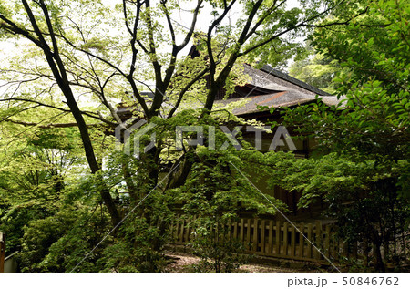 上醍醐　清龍宮拝殿 50846762