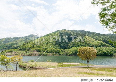 早池峰ダム 5月 50846808