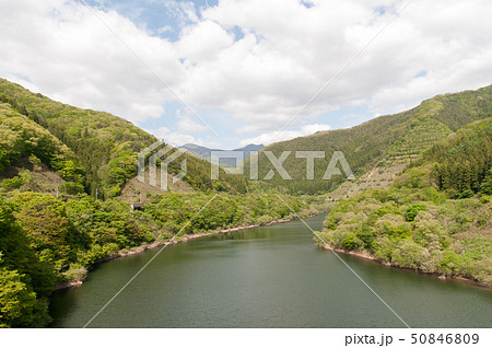 早池峰ダム 5月 50846809