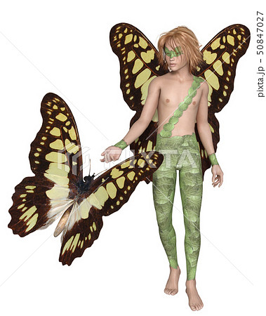 Male Swallowtail Butterfly Fairy and Butterfly Male Swallowtail Butterfly Fairy and Butterfly 50847027