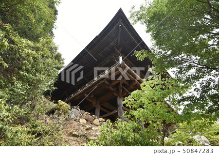 上醍醐 如意輪堂 上醍醐 如意輪堂 50847283