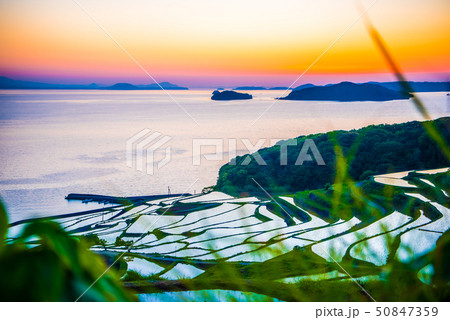 土谷棚田の夕焼け 50847359