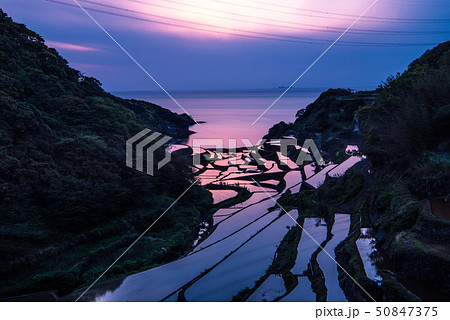 浜野浦の棚田　夕焼け 50847375
