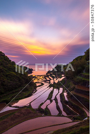 浜野浦の棚田 夕焼け 浜野浦の棚田 夕焼け 50847376