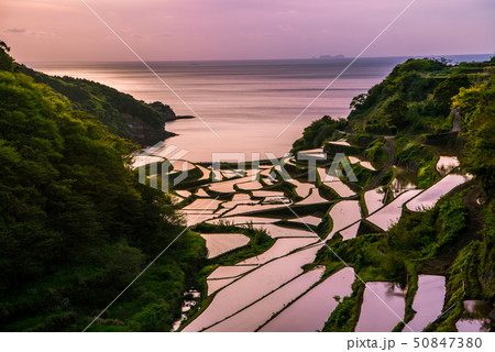 浜野浦の棚田　夕焼け 50847380