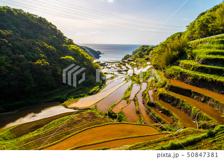 浜野浦の棚田　夕焼け 50847381