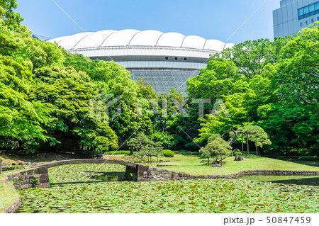 東京　春の小石川後楽園 50847459