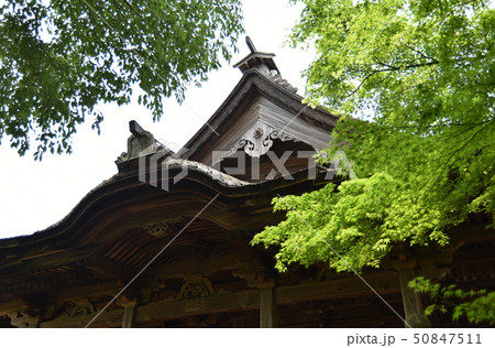 上醍醐　開山堂 50847511