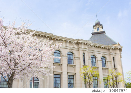 新潟市歴史博物館　みなとぴあ(春) 50847974