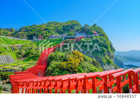 ゴールデンウィークの絶景スポット元乃隅神社 山口県 の写真素材