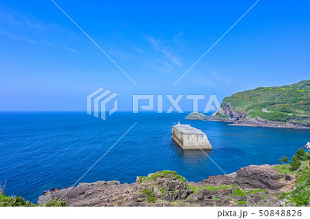 絶景スポット元乃隅神社からの眺め 50848826
