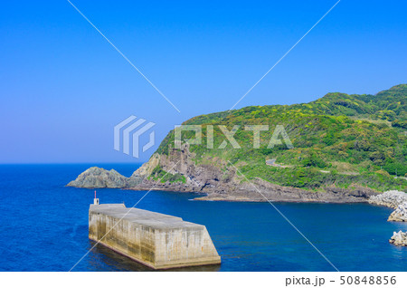 絶景スポット元乃隅神社からの眺め 絶景スポット元乃隅神社からの眺め 50848856