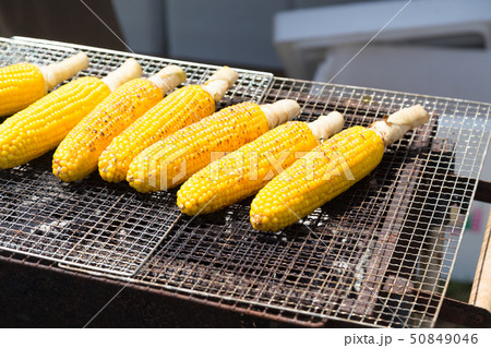 トウモロコシ 50849046
