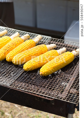 焼きとうもろこし 50849047