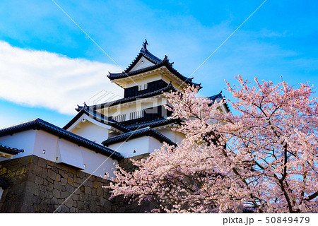 白河小峰城 白河小峰城 50849479