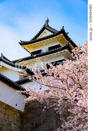 白河小峰城 白河小峰城 50849480