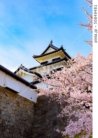 白河小峰城 白河小峰城 50849481