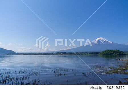 河口湖と富士山 河口湖と富士山 50849822
