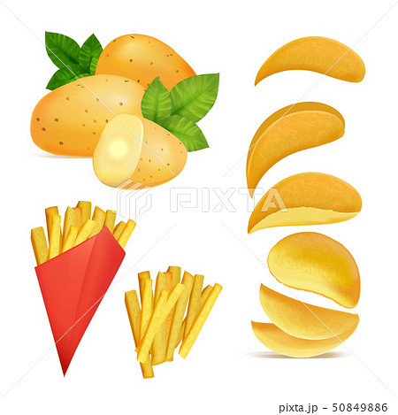 Vector illustrations of snacks or chips. Pictures in cartoon style of fried potato 50849886