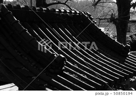 モノクロ瓦 モノクロ瓦 50850194