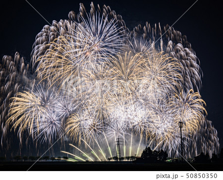 大曲の花火春の章 50850350