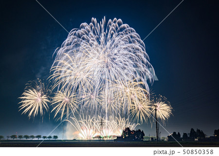 大曲の花火春の章 大曲の花火春の章 50850358